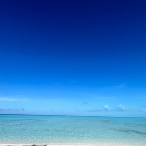 Meet your Posher, Moira